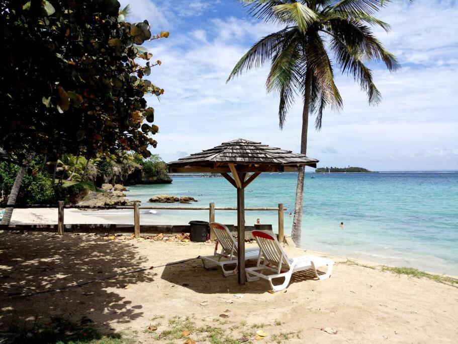 F1 Vue Mer, Acces Plage, En Centre-ville Appartement Le Gosier (Grande-Terre)