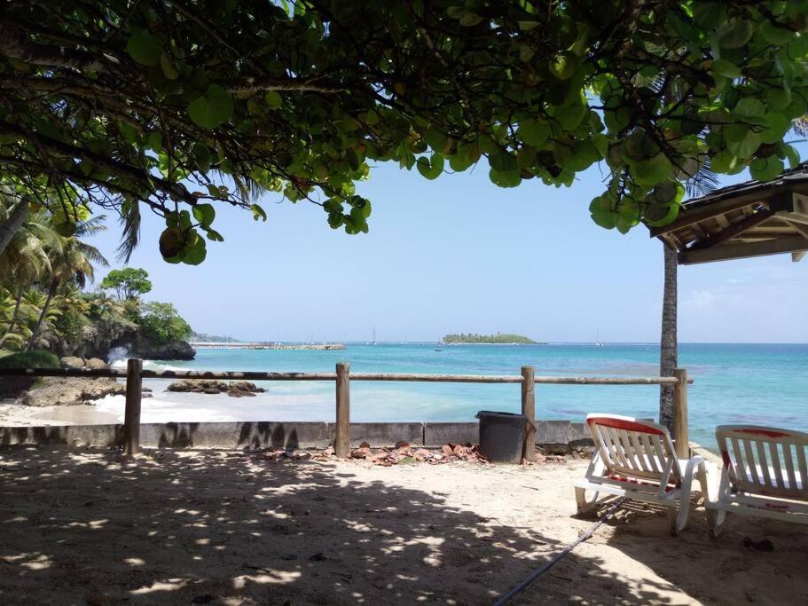 F1 Vue Mer, Acces Plage, En Centre-ville * Le Gosier (Grande-Terre)