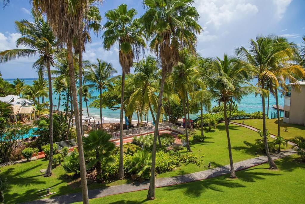 F1 Vue Mer, Acces Plage, En Centre-ville Le Gosier (Grande-Terre)
