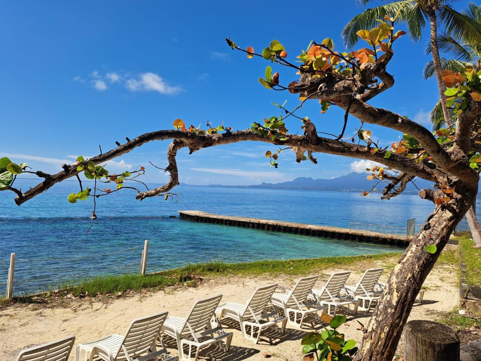 F1 Vue Mer, Acces Plage, En Centre-ville * Le Gosier (Grande-Terre)